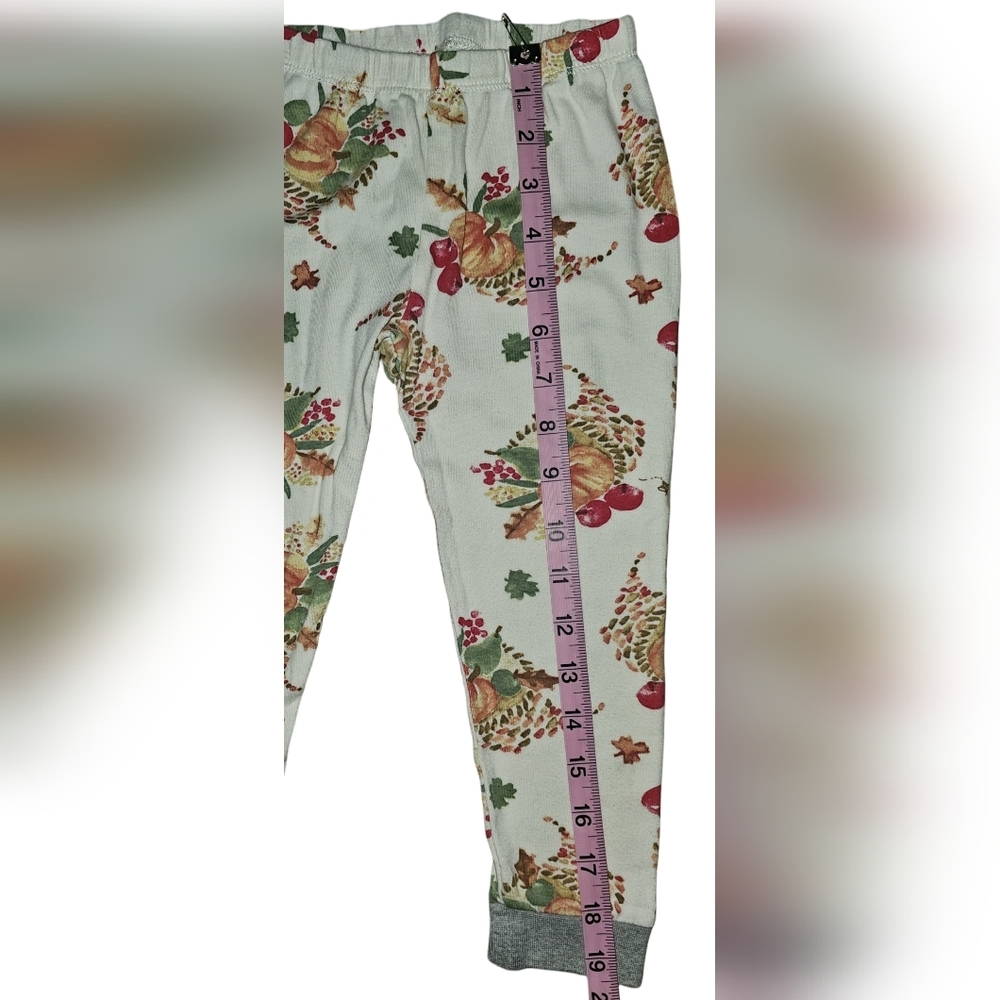 Burt’s Bees Kids Organic Cotton Pajama Set Thanksgiving Fall Pumpkin Harvest 4T - Picture 15 of 16